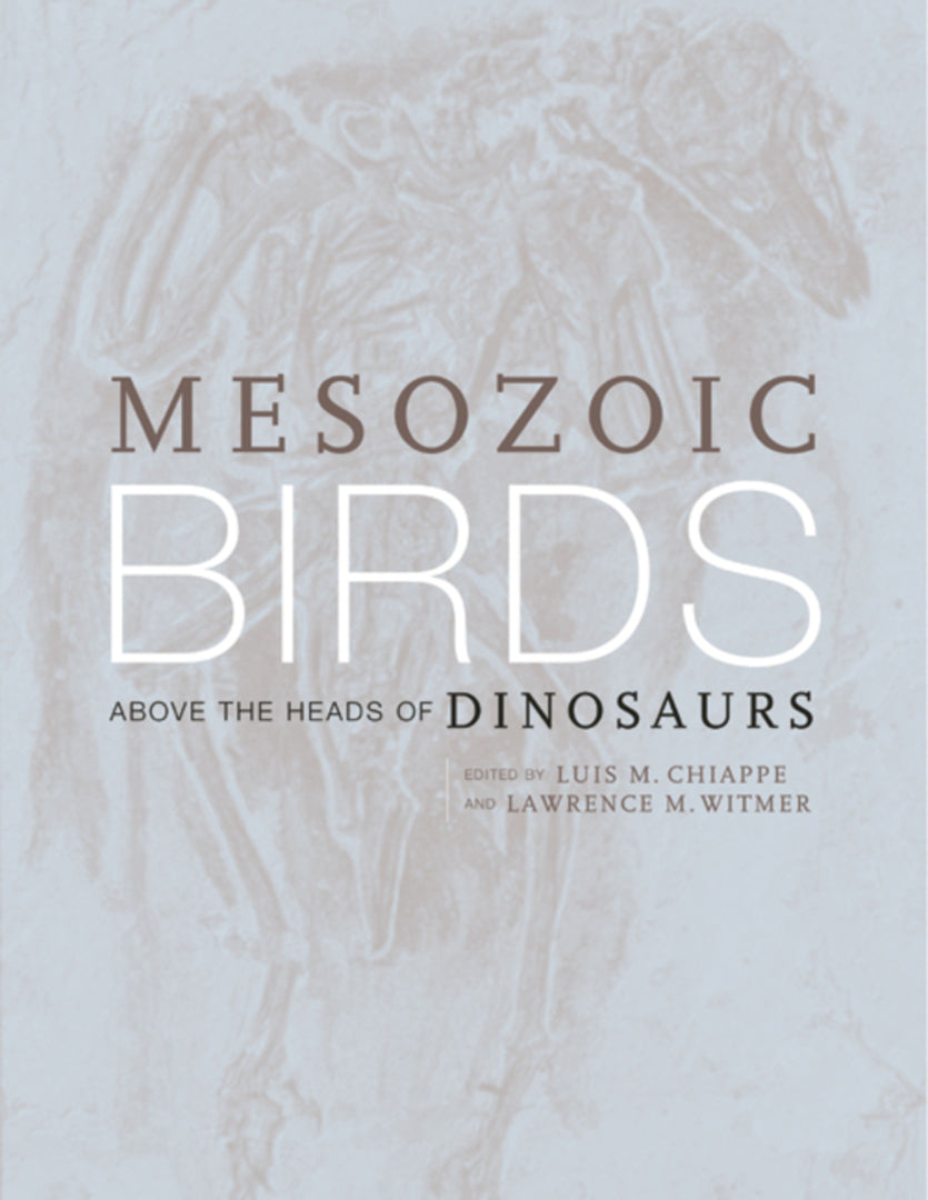 Cover image for Mesozoic Birds ISBN 9780520200944
